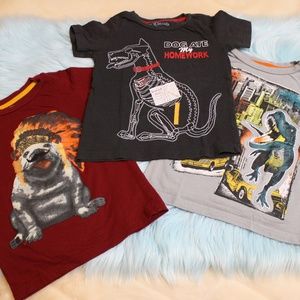 3pc Bundle Boys Size 5 Graphic Prints Tee Shirts
